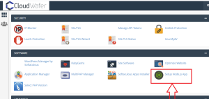 nodeJS set up on cPanel